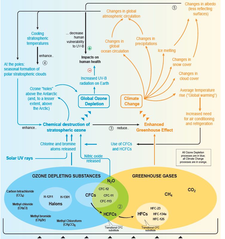 greenhouse effect and ozone layer depletion