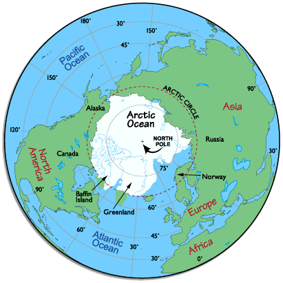 Arctic Ozone